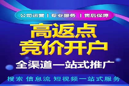 百度广告投放策略与效果评估案例